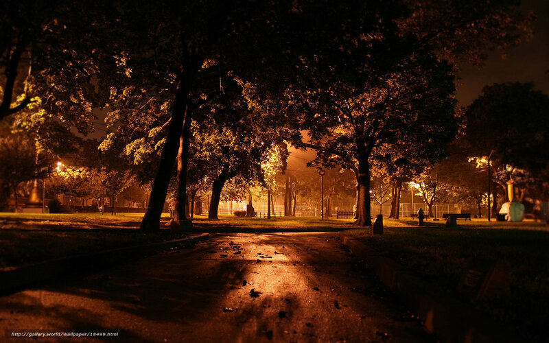 Nighttime park path
