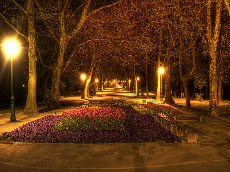 Nighttime park pathway