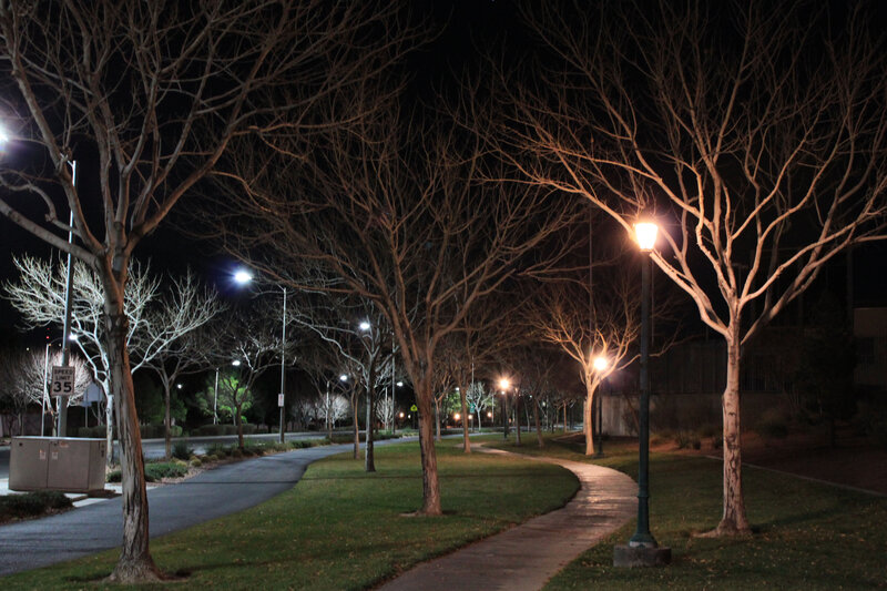Nighttime Park Pathway — Green