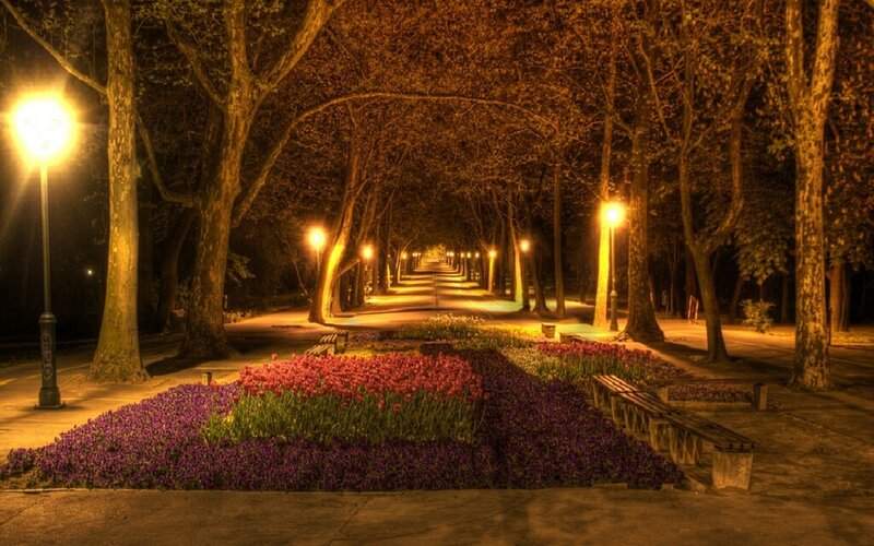 Nighttime park pathway