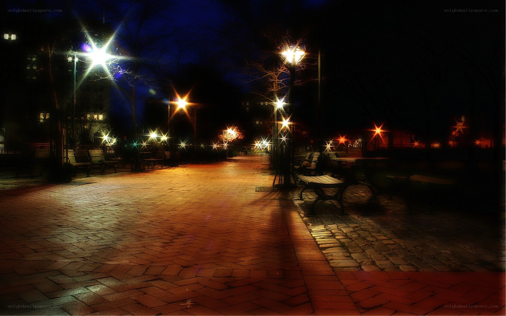 nighttime park scene