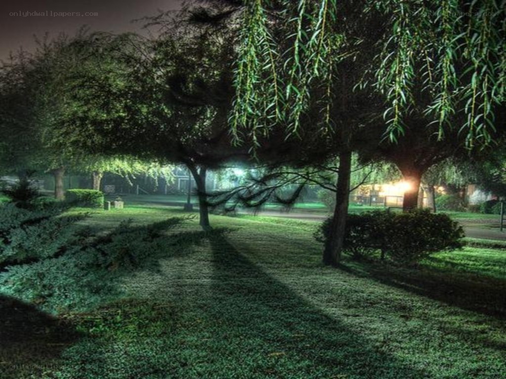 nighttime park scene