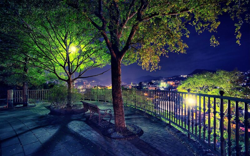 Nighttime Park View — Green, Serene