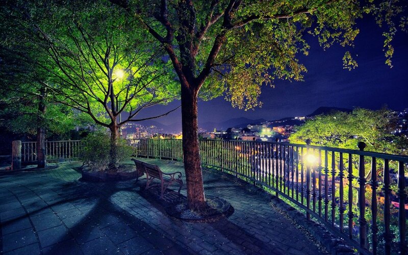 Nighttime Park View