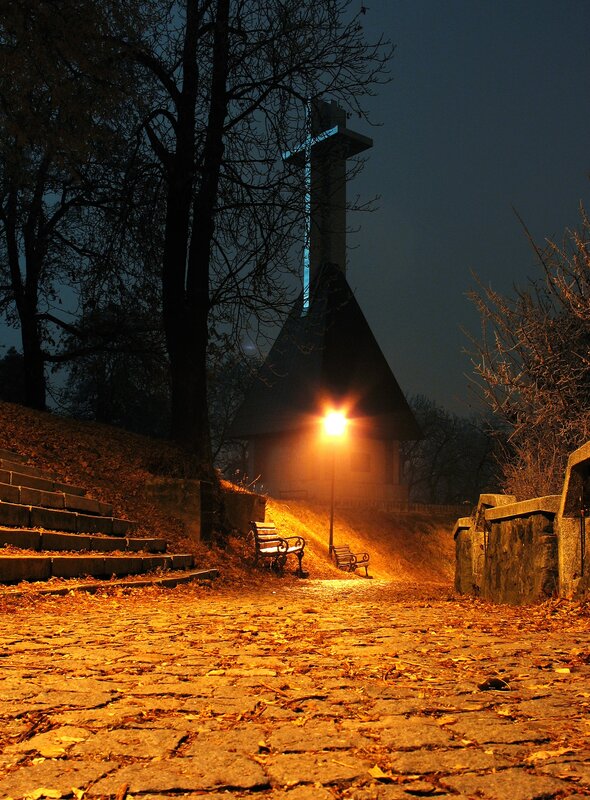 Nighttime park with cross monument