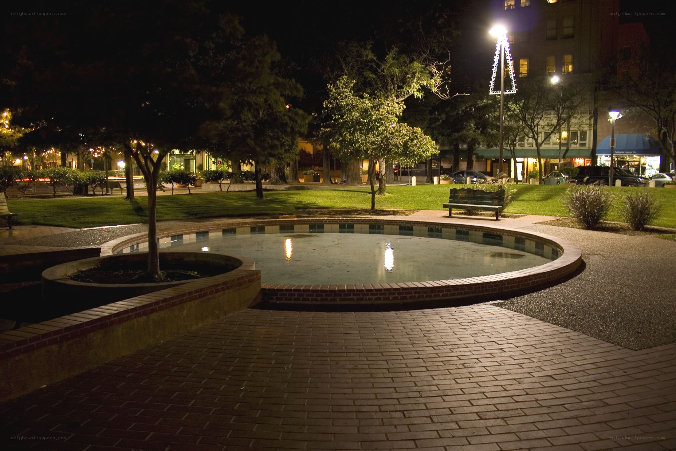 nighttime park with fountain