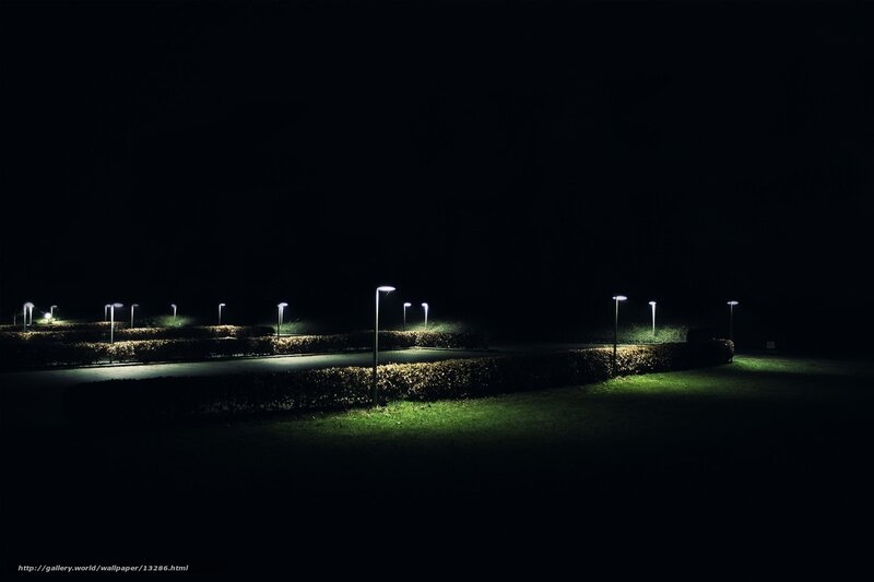 Nighttime park with illuminated lamps