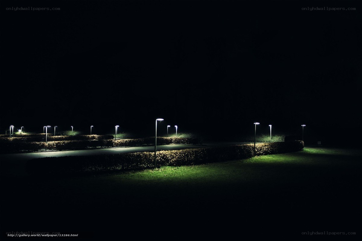 Nighttime park with illuminated lamps
