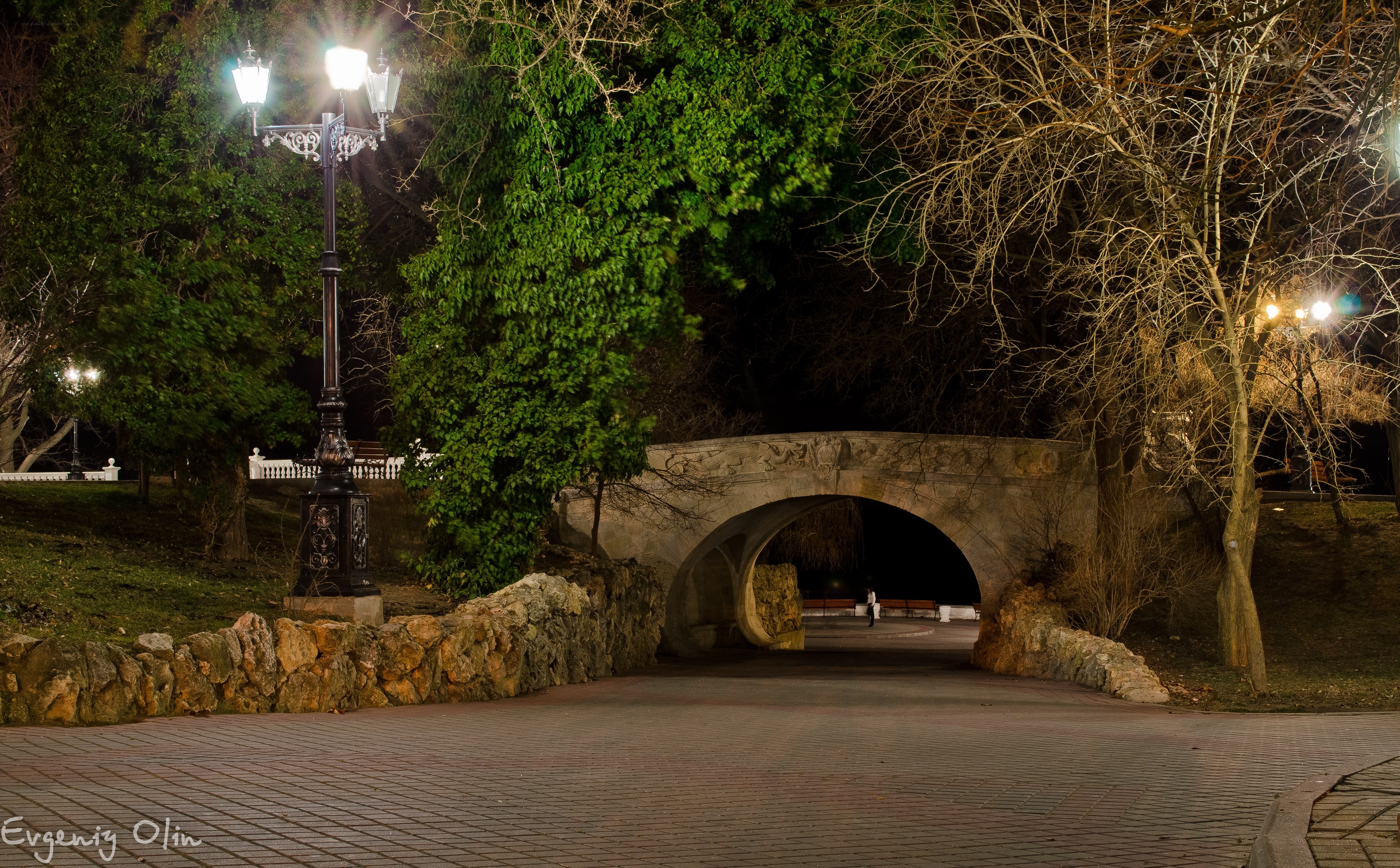 Nighttime park with stone bridge