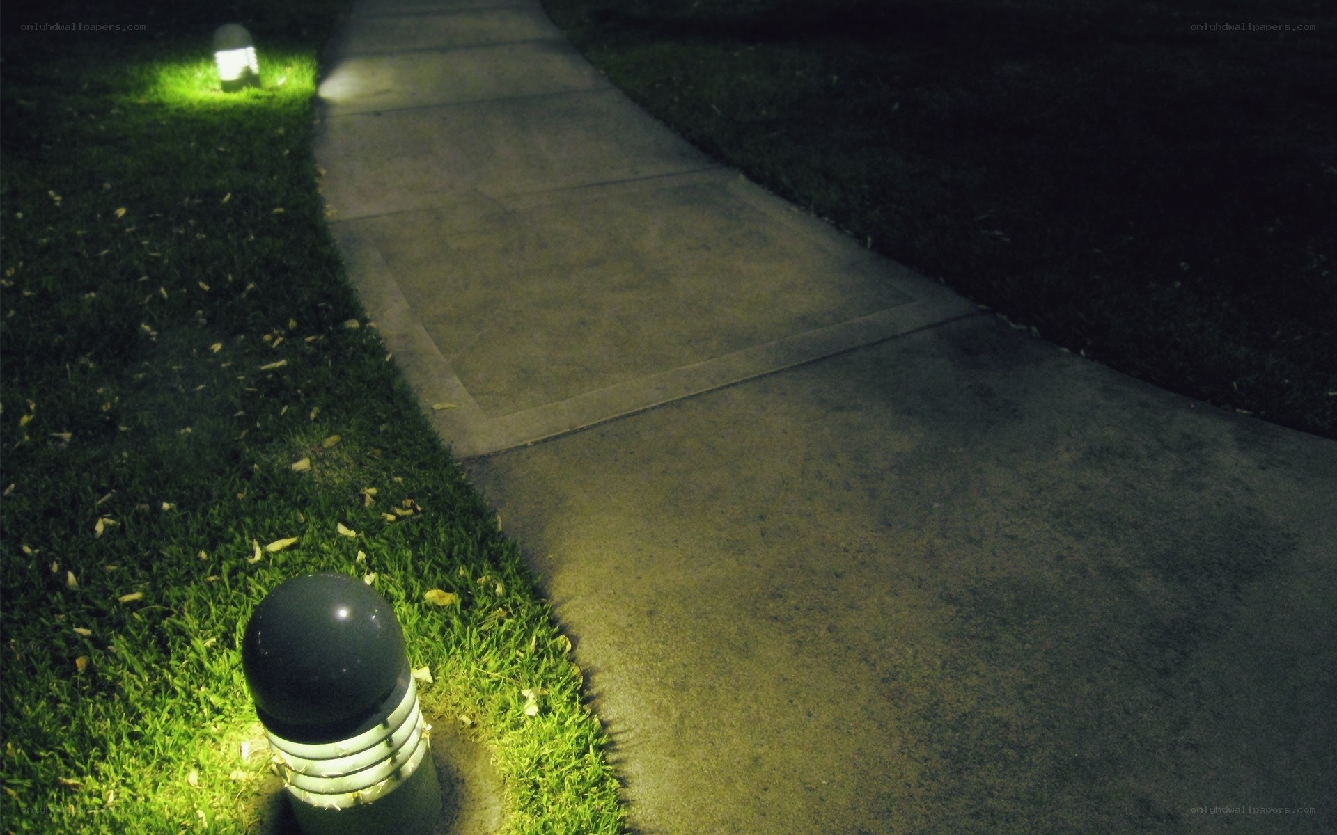 Nighttime pathway with lights