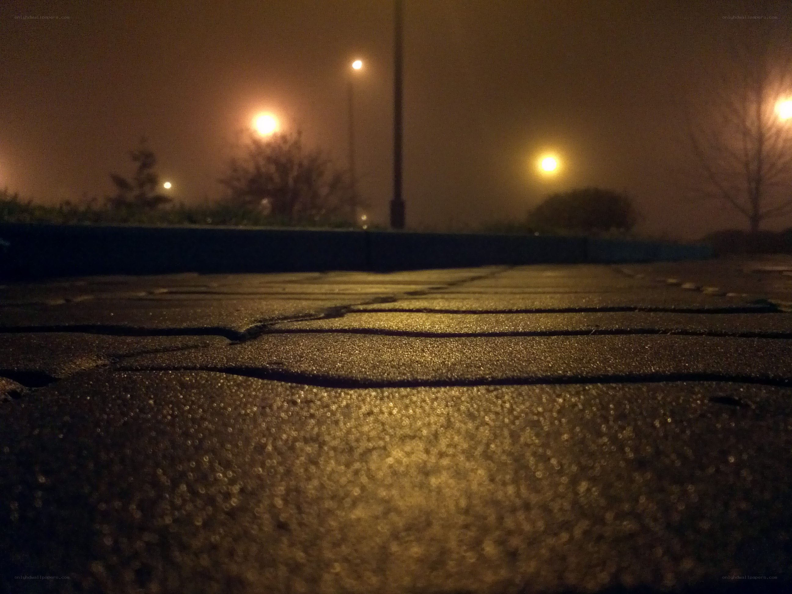 nighttime pavement in fog