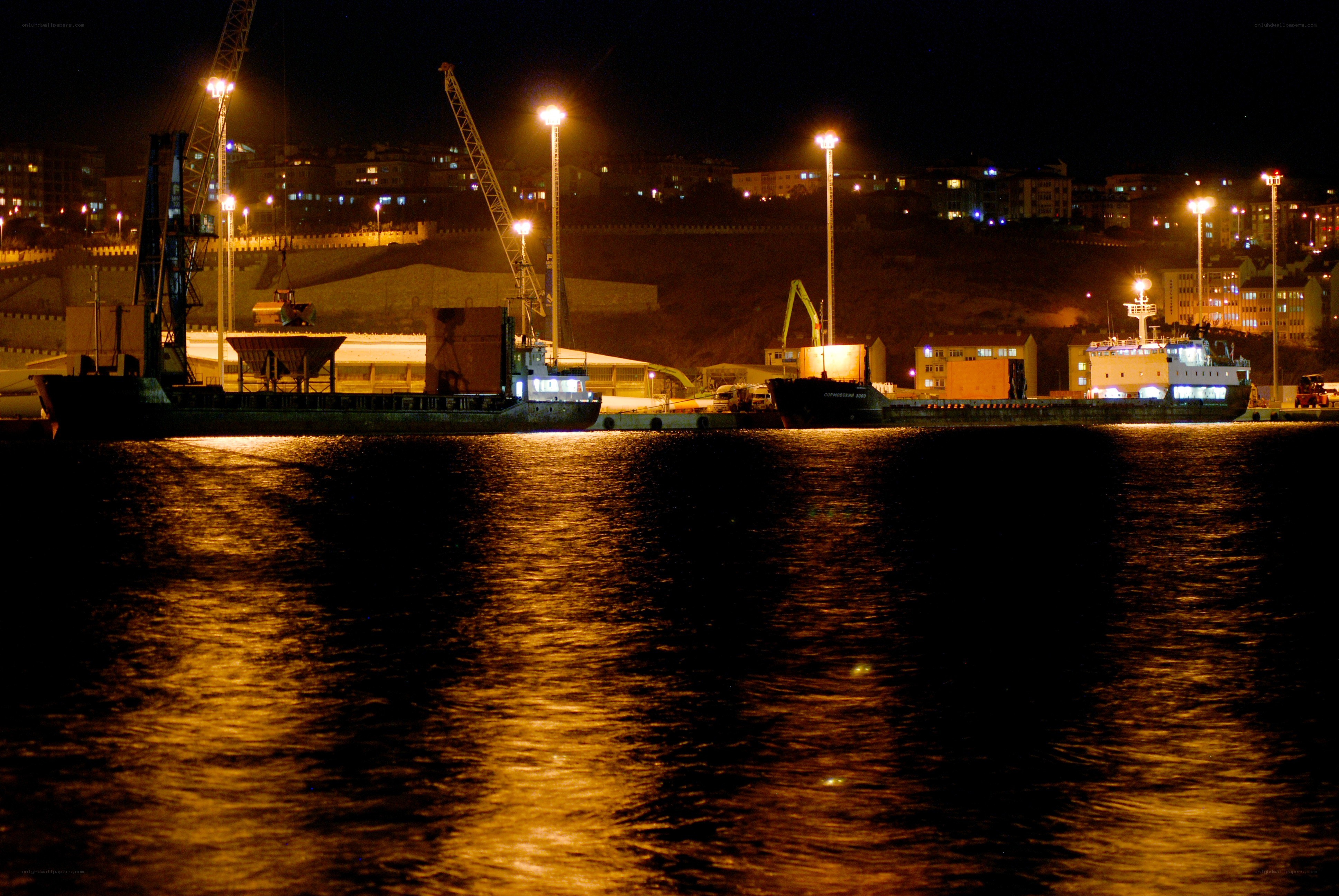Nighttime port with cargo ships