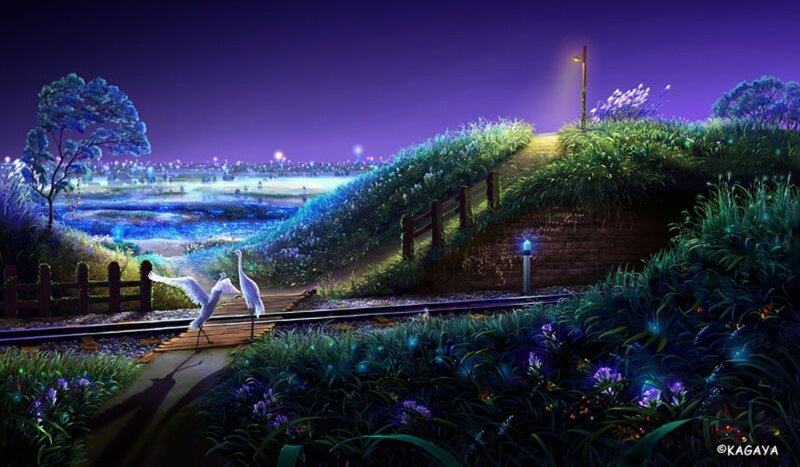 Nighttime scene with birds on tracks