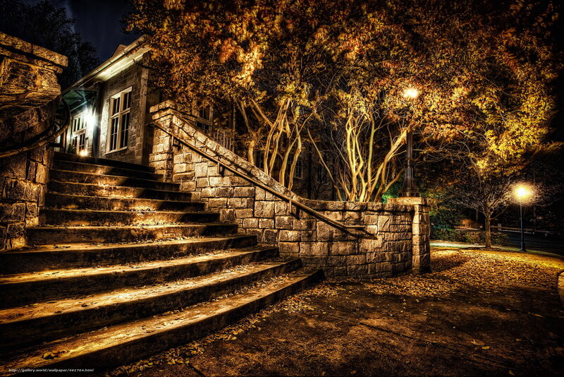 Nighttime stone staircase with autumn leaves