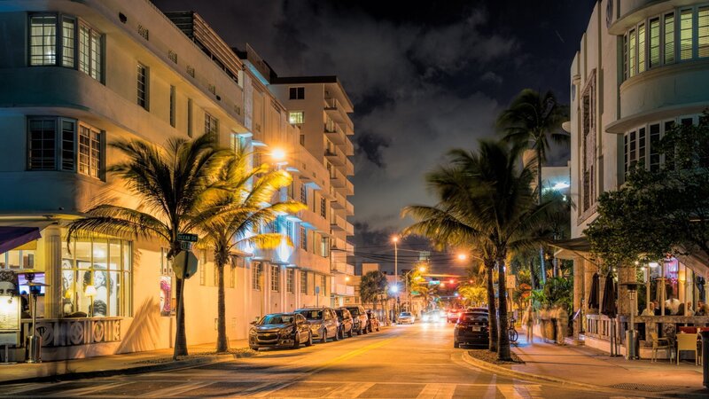 Nighttime Street with Palm Trees