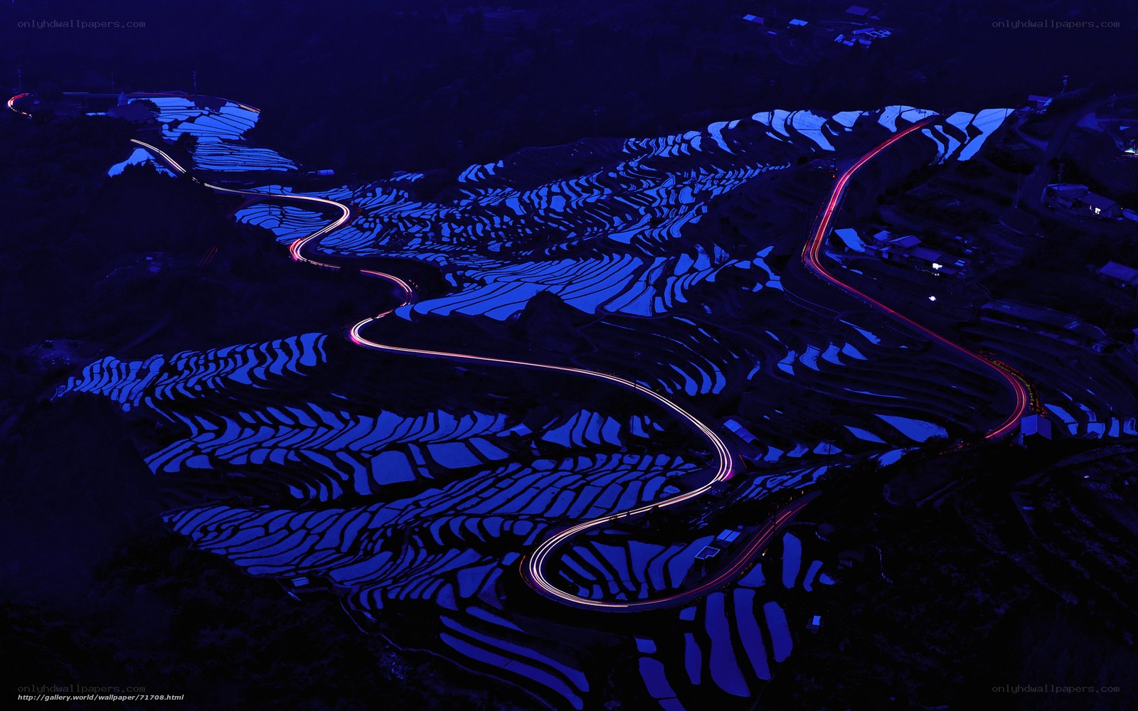 Nighttime terraced rice fields