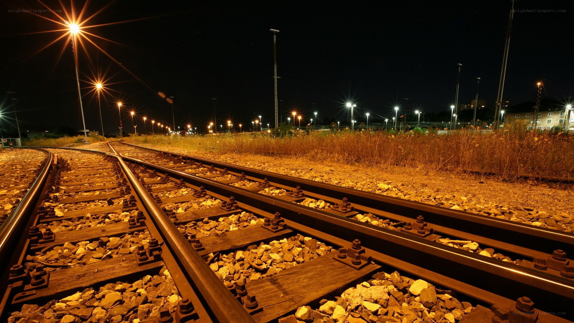 Nighttime train tracks illuminated