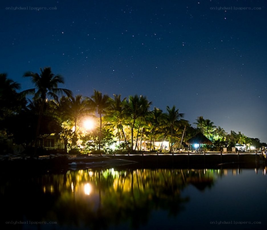 nighttime tropical waterfront scene