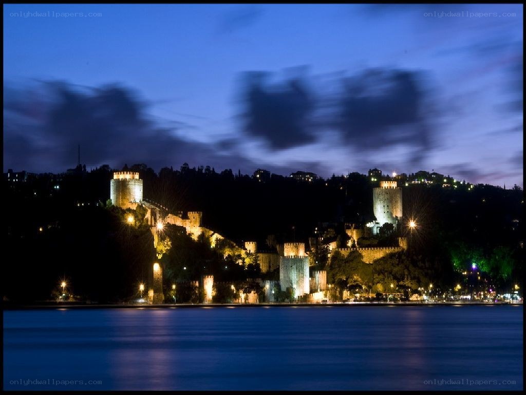 nighttime view of a castle