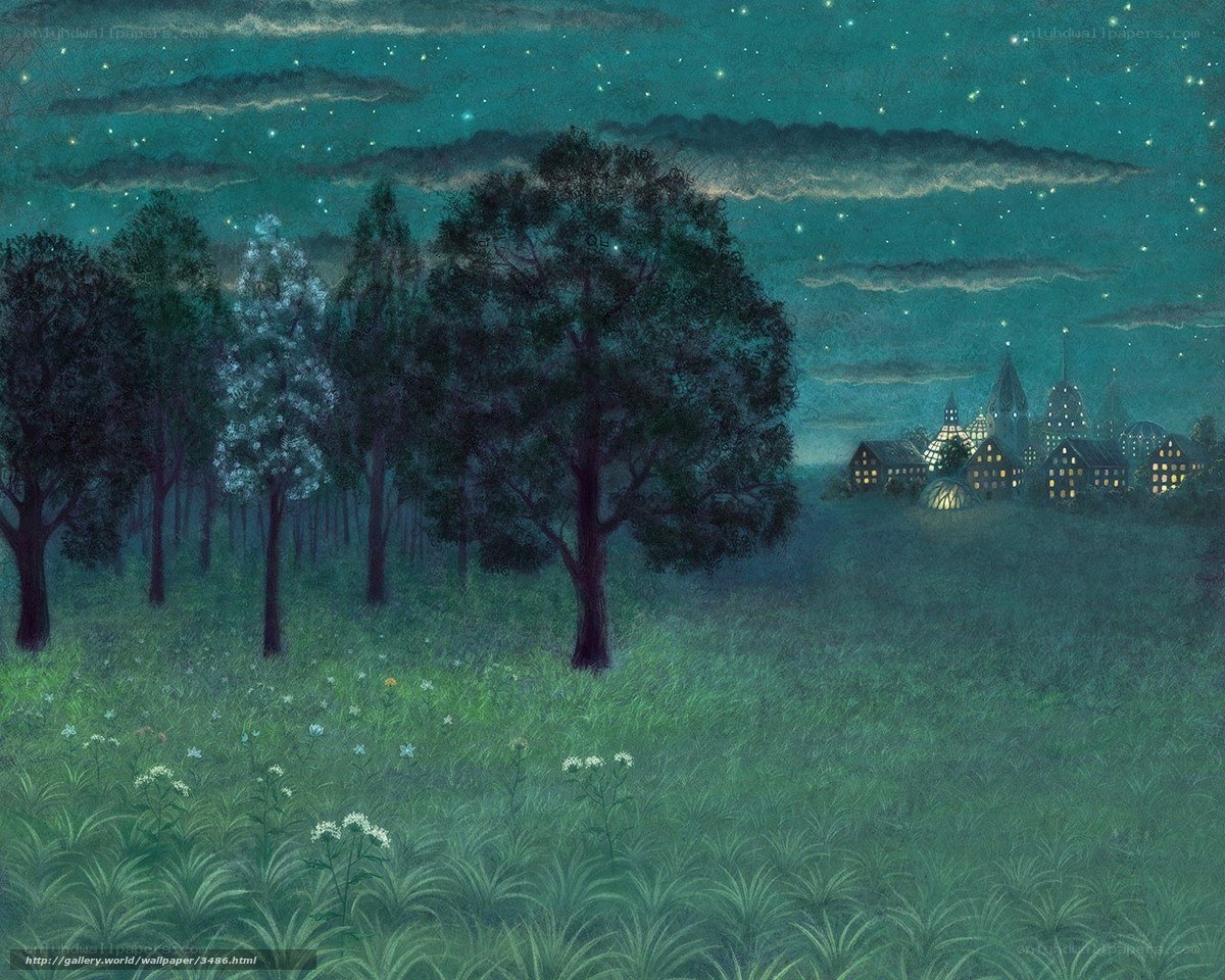 Nighttime village under starry sky