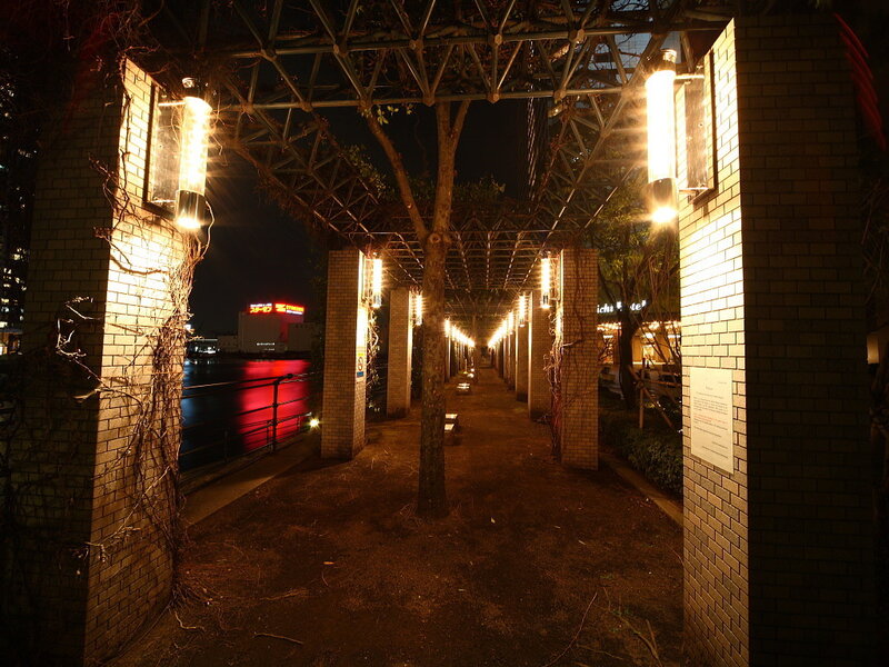 nighttime walkway by the river