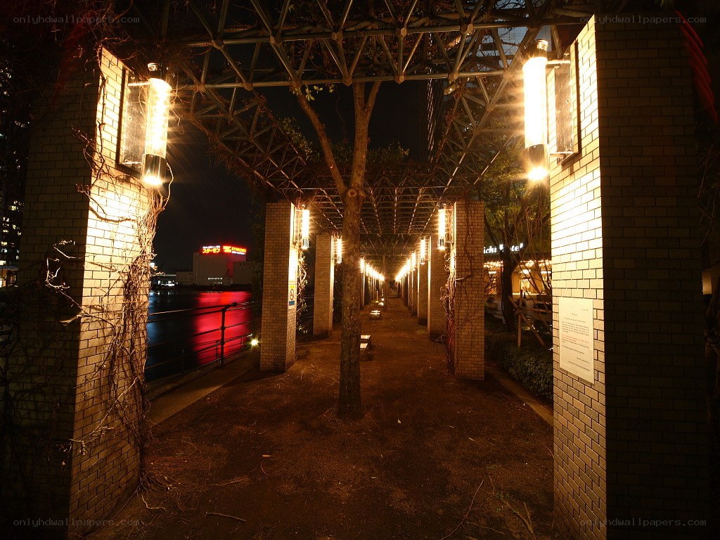 nighttime walkway by the river