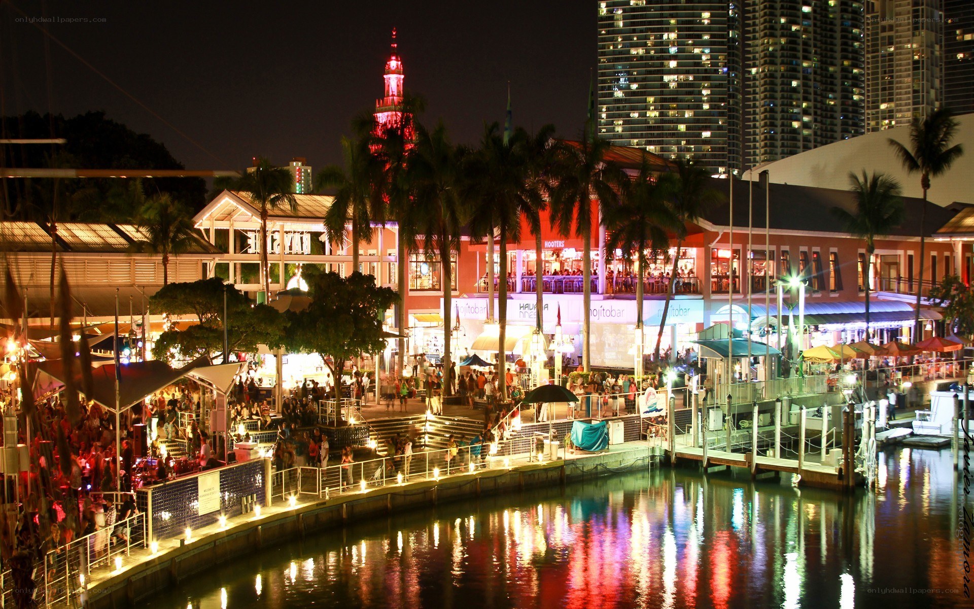 nighttime waterfront scene in miami