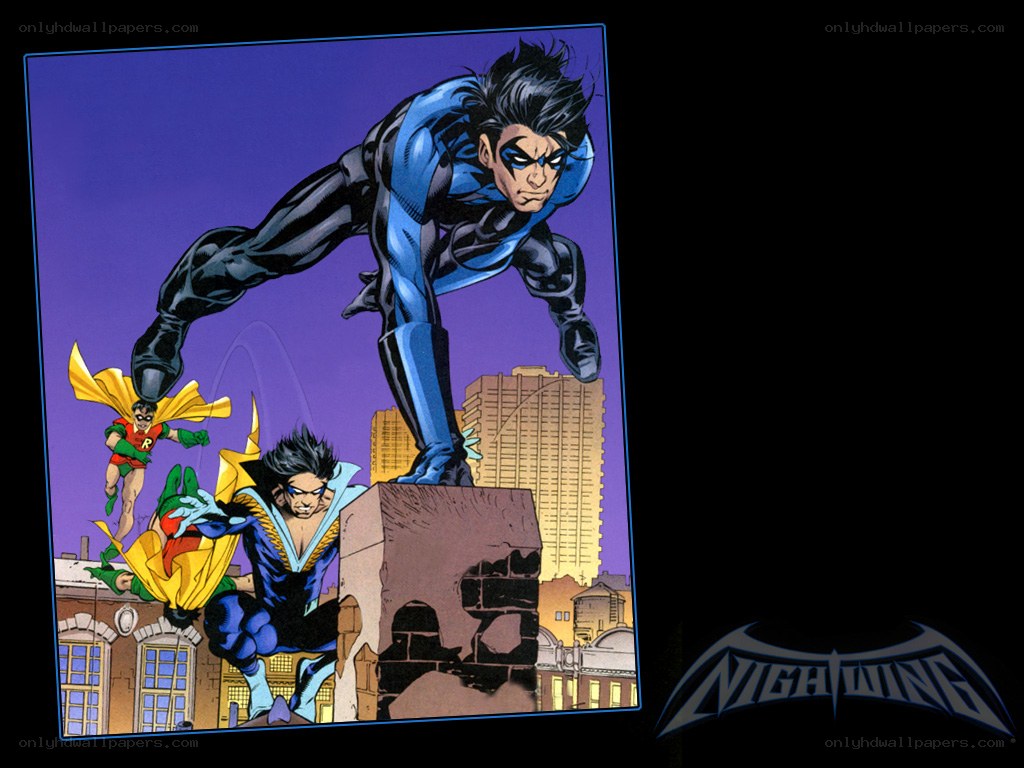 Nightwing and Robin in action