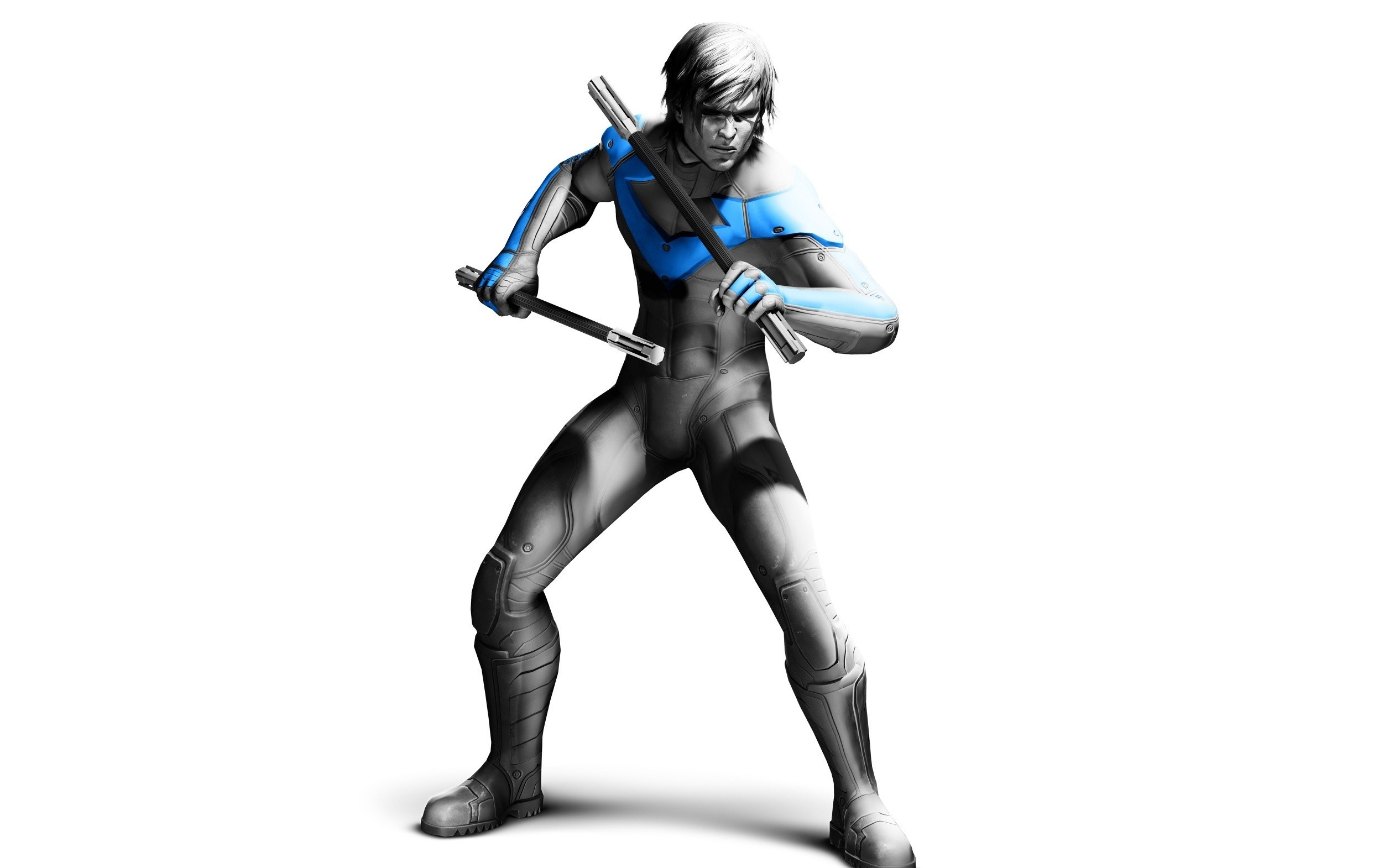 Nightwing in combat stance