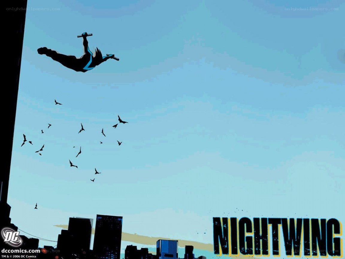 Nightwing in flight