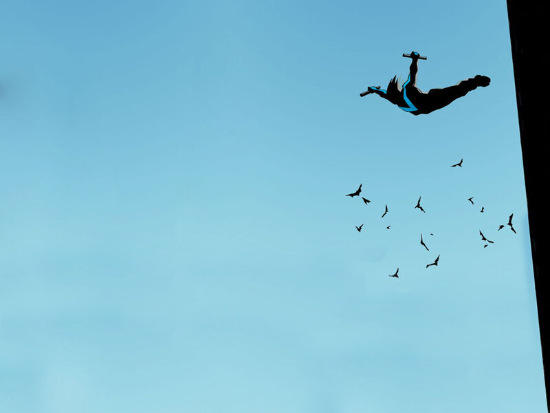 Nightwing in flight