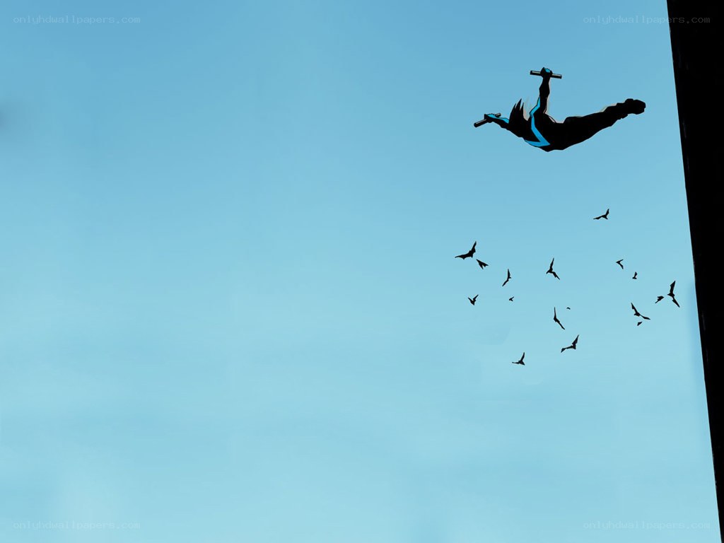 Nightwing in flight