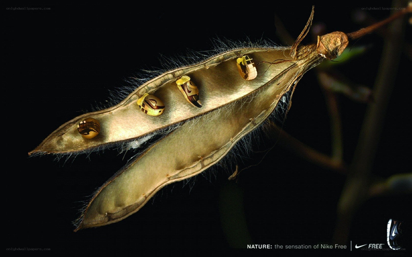 Nike Free ad with seed pod