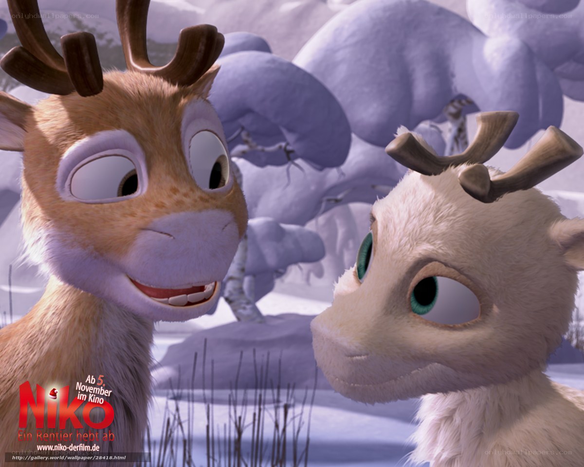 Niko and the reindeer