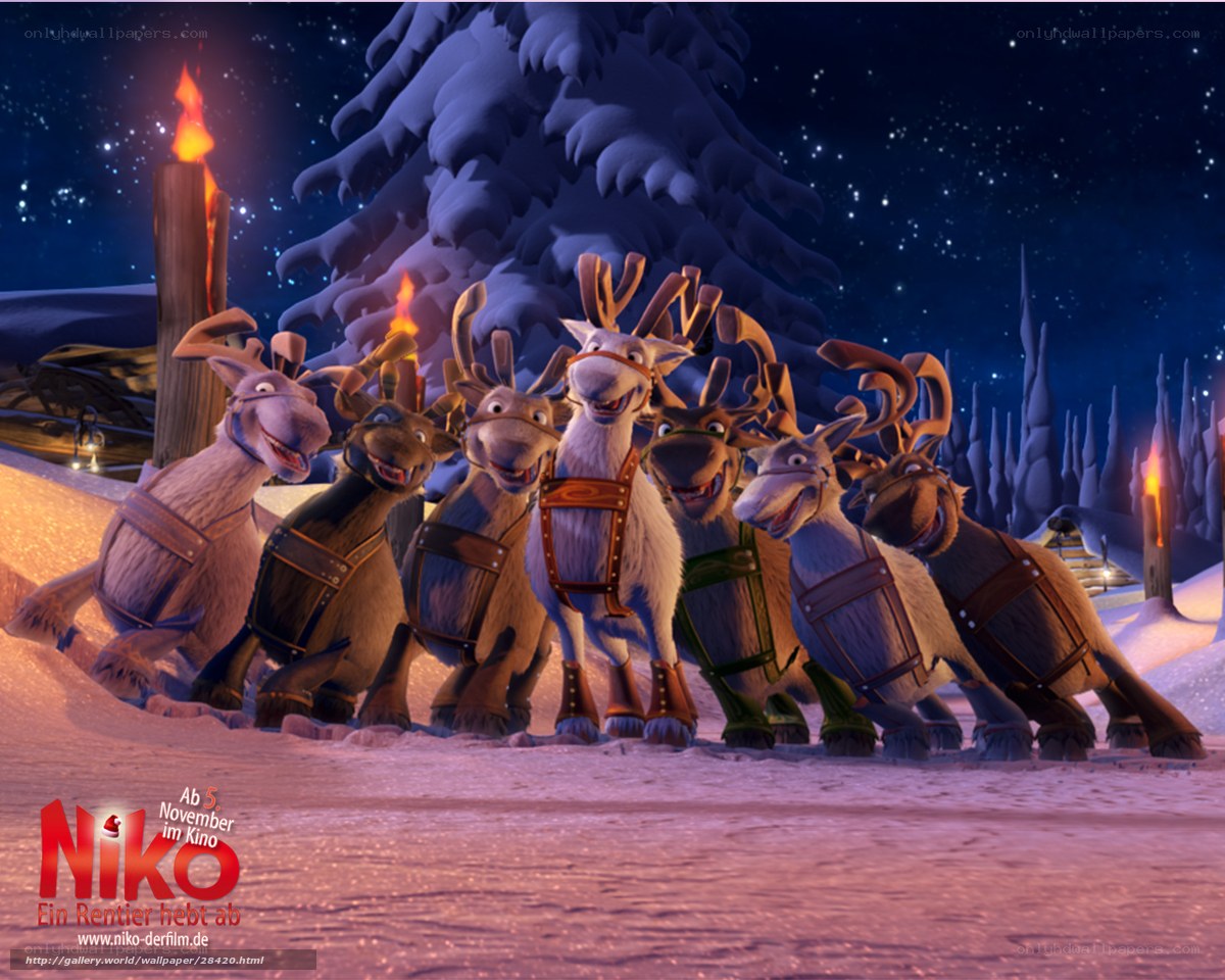 Niko the reindeer group