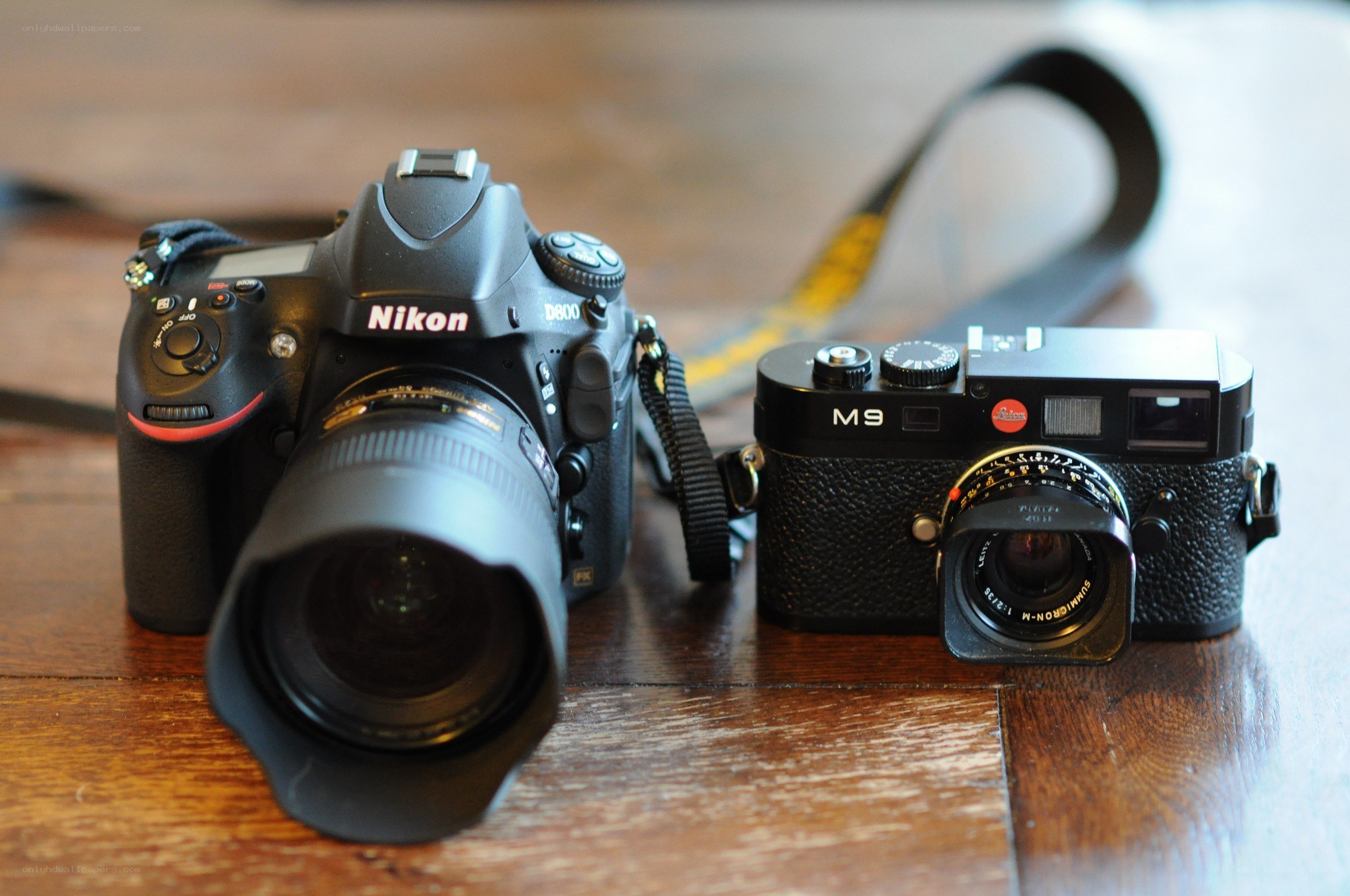 Nikon and Leica cameras