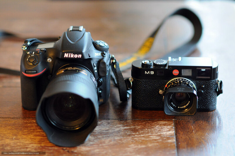 Nikon and Leica Cameras — Black