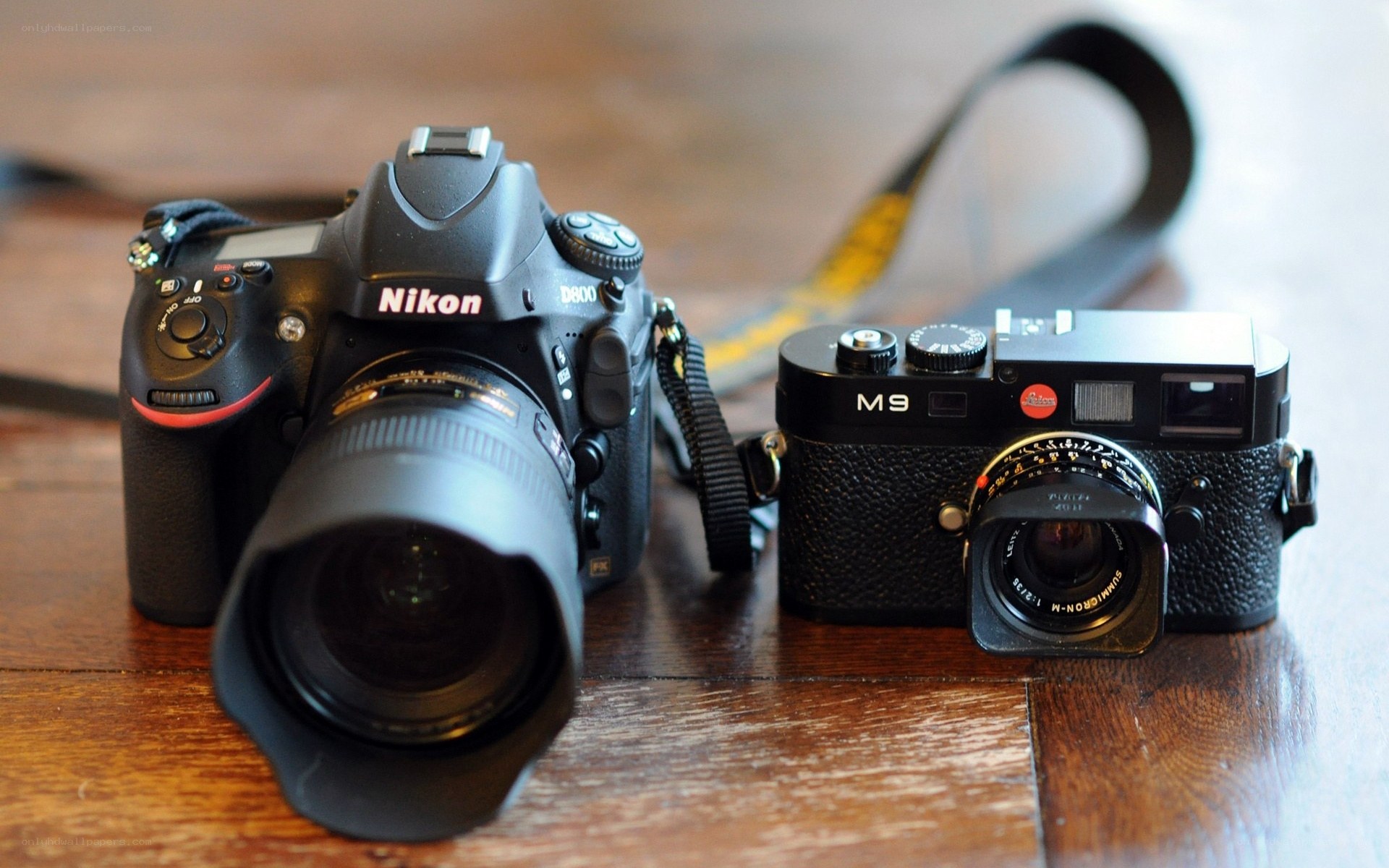 Nikon and Leica cameras