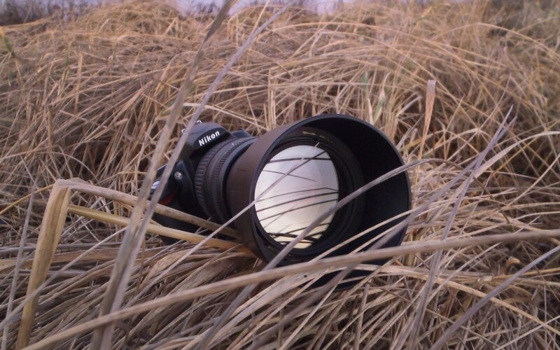 Nikon camera in dry grass