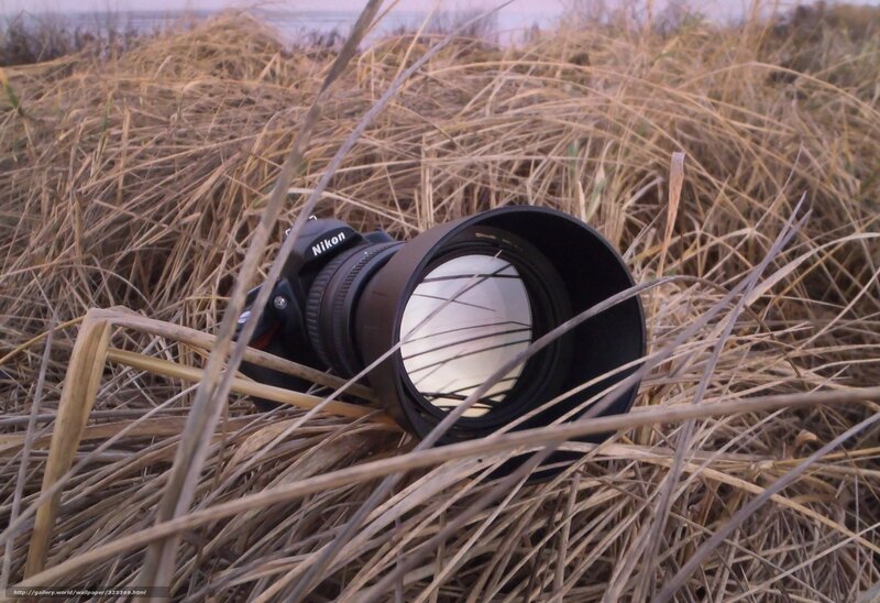 Nikon camera in dry grass