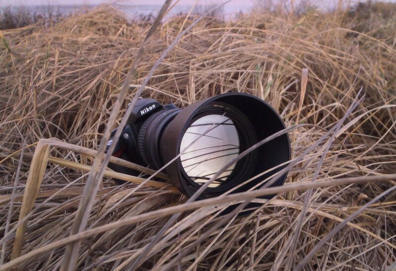 Nikon Camera in Grass — Brown