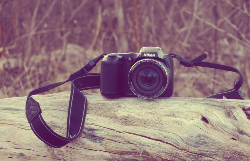Nikon Camera on Log