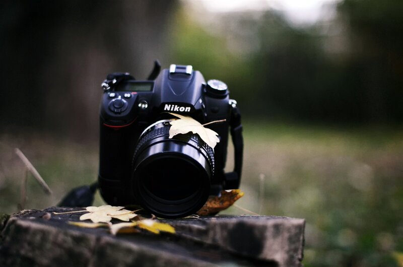 Nikon Camera on Stump — Black, Serene, Autumn