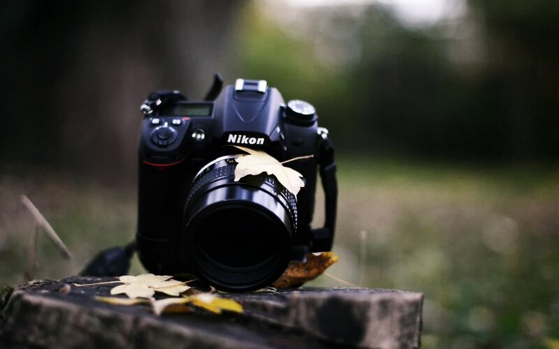 Nikon camera with autumn leaf