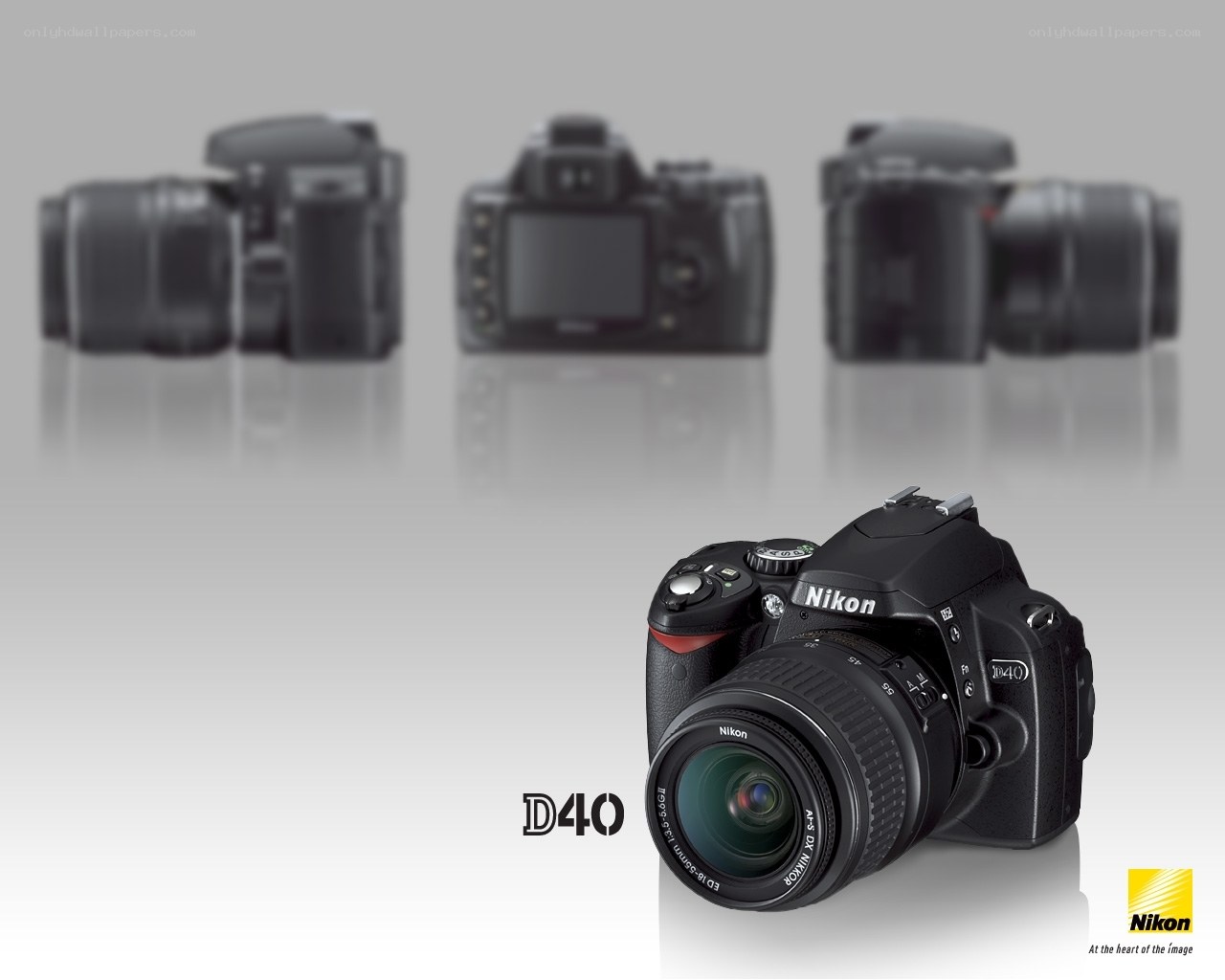 Nikon D40 camera product shot