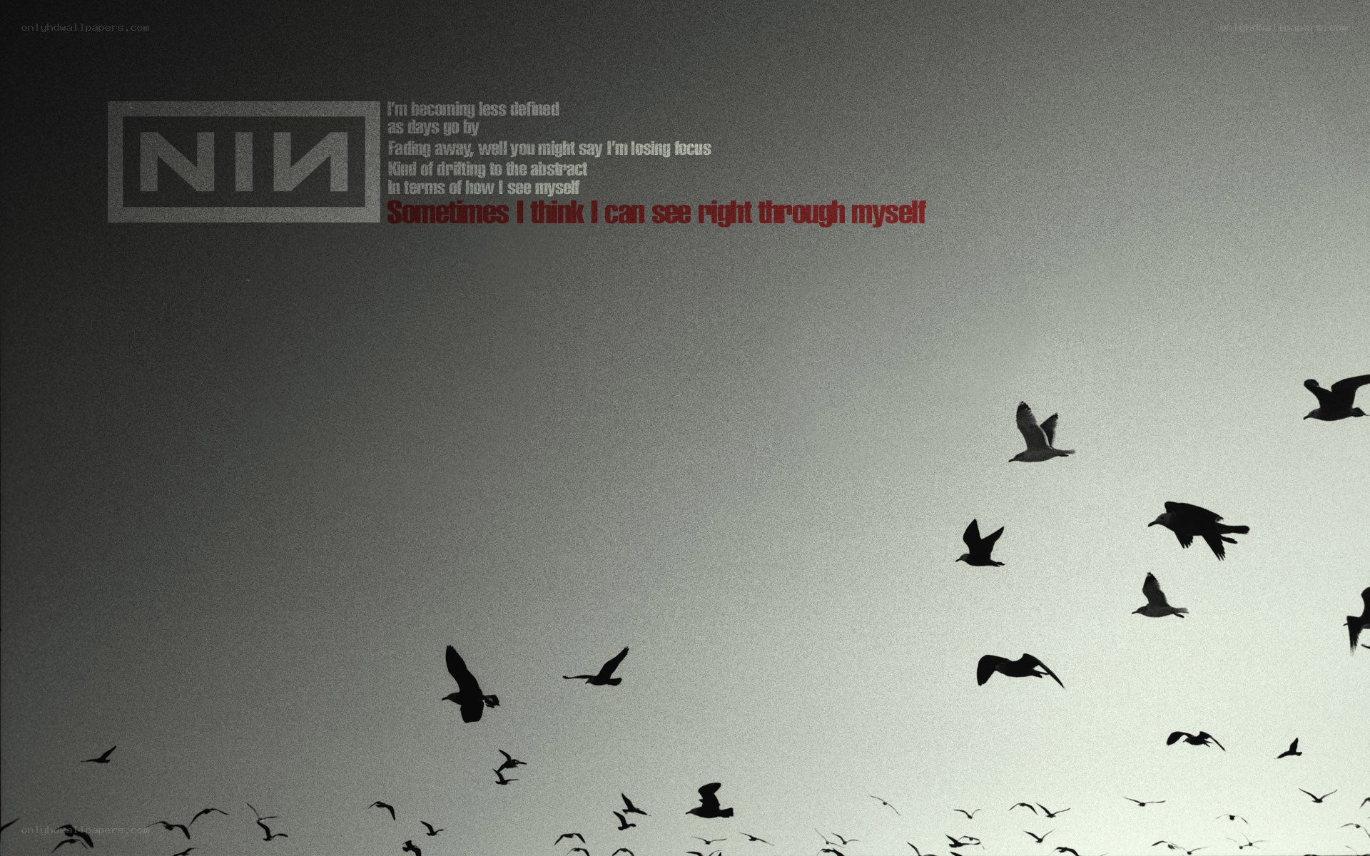 NIN album artwork with birds