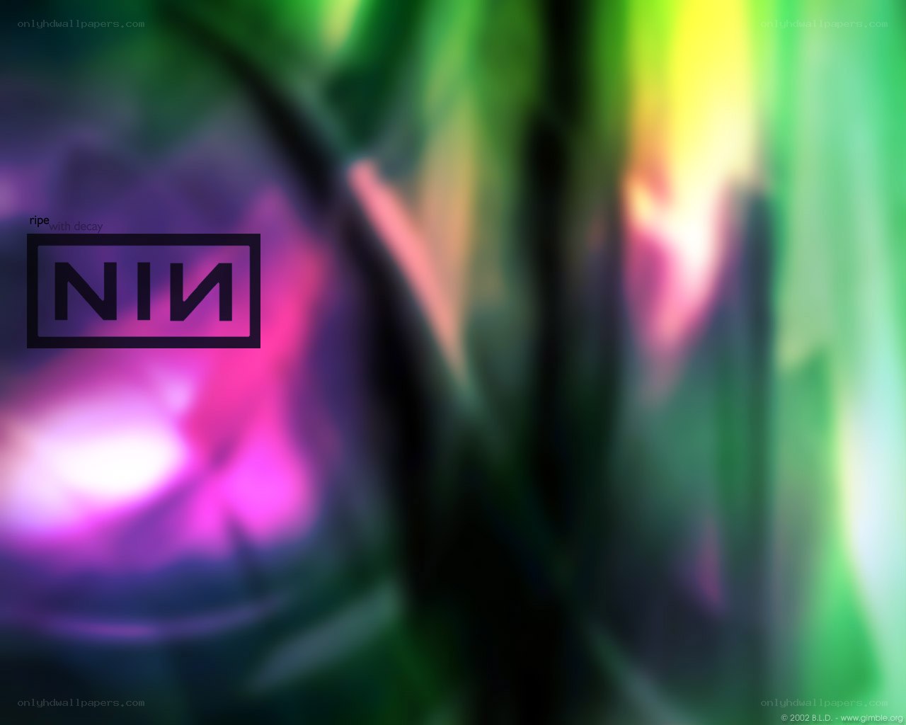 NIN album cover art