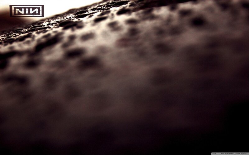 NIN logo on textured surface