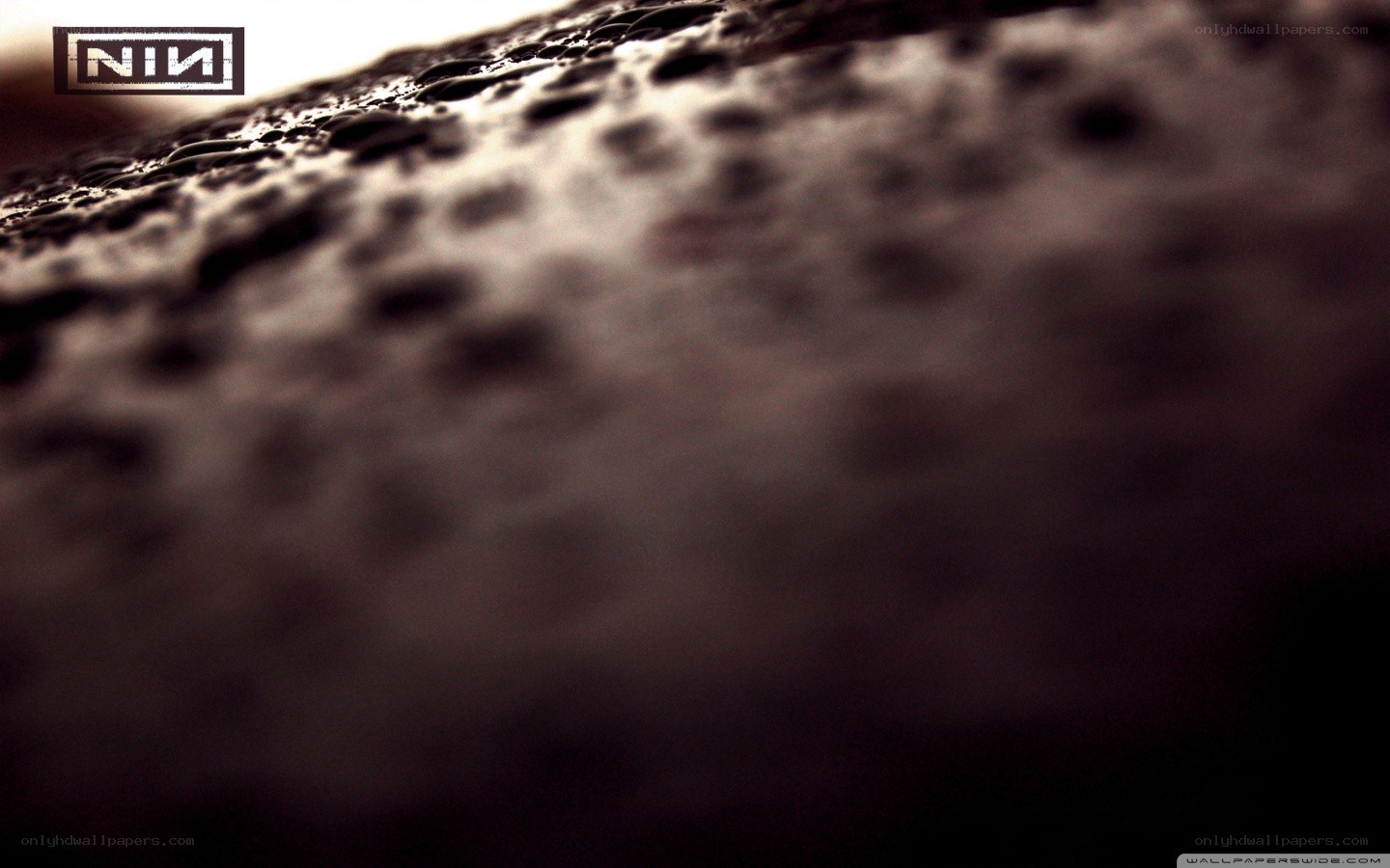 NIN logo on textured surface
