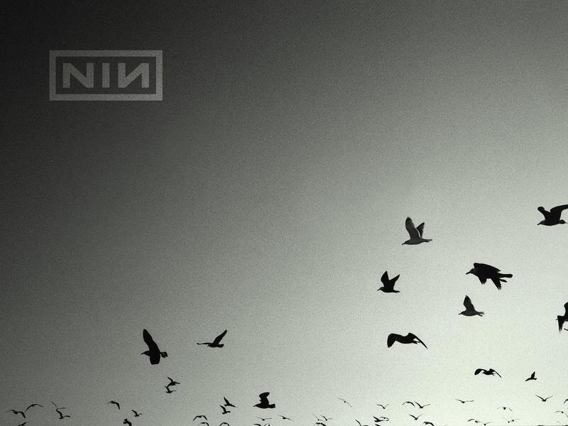 NIN logo with birds in sky
